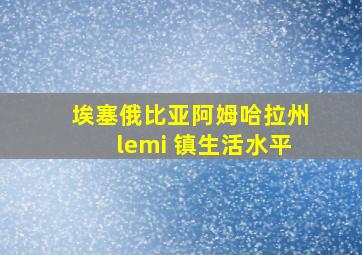 埃塞俄比亚阿姆哈拉州lemi 镇生活水平